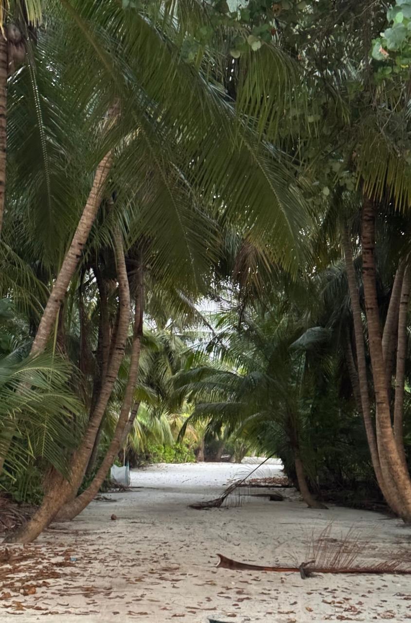 Maldivy wellness pobyt