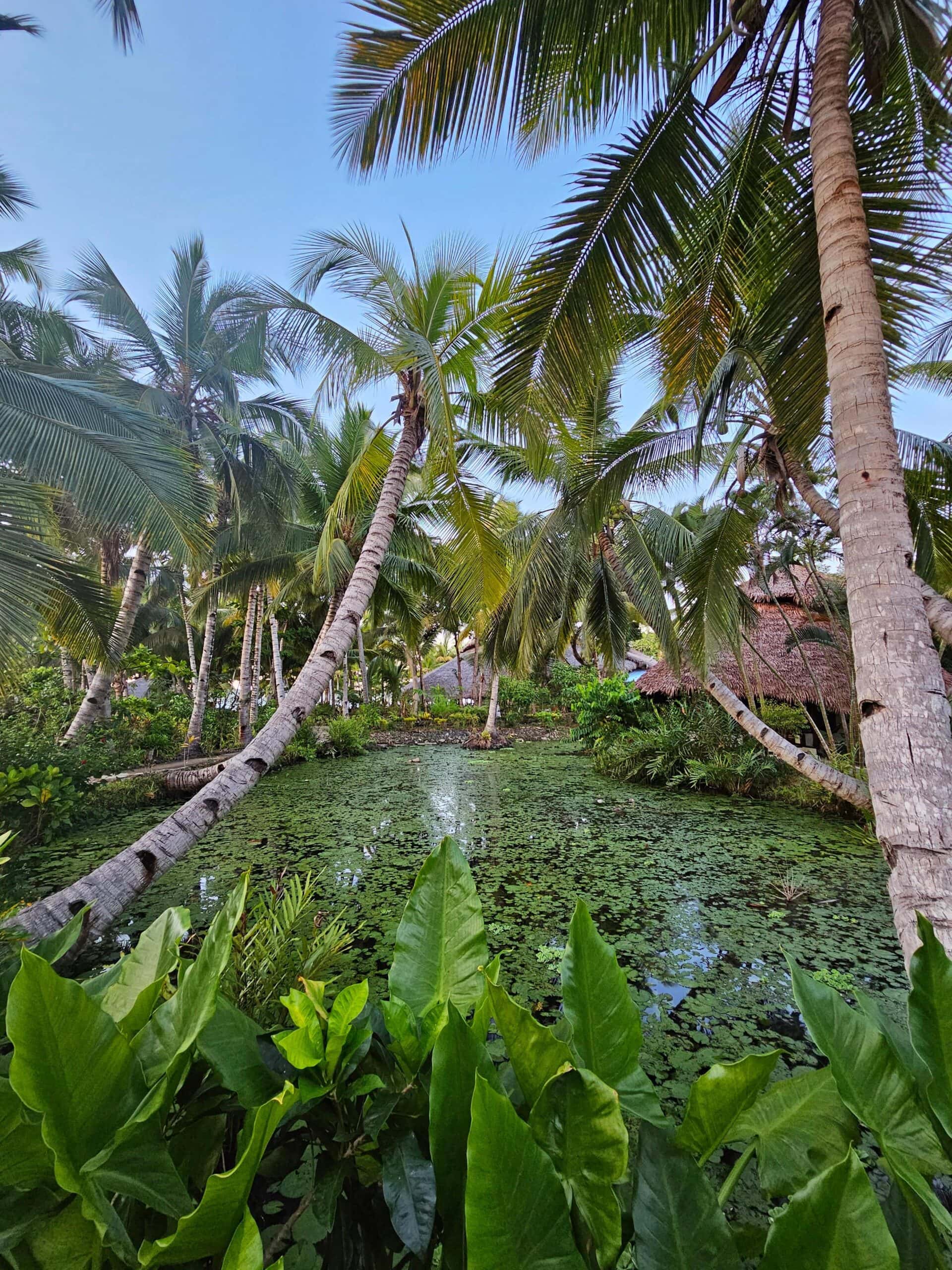 Madagaskar